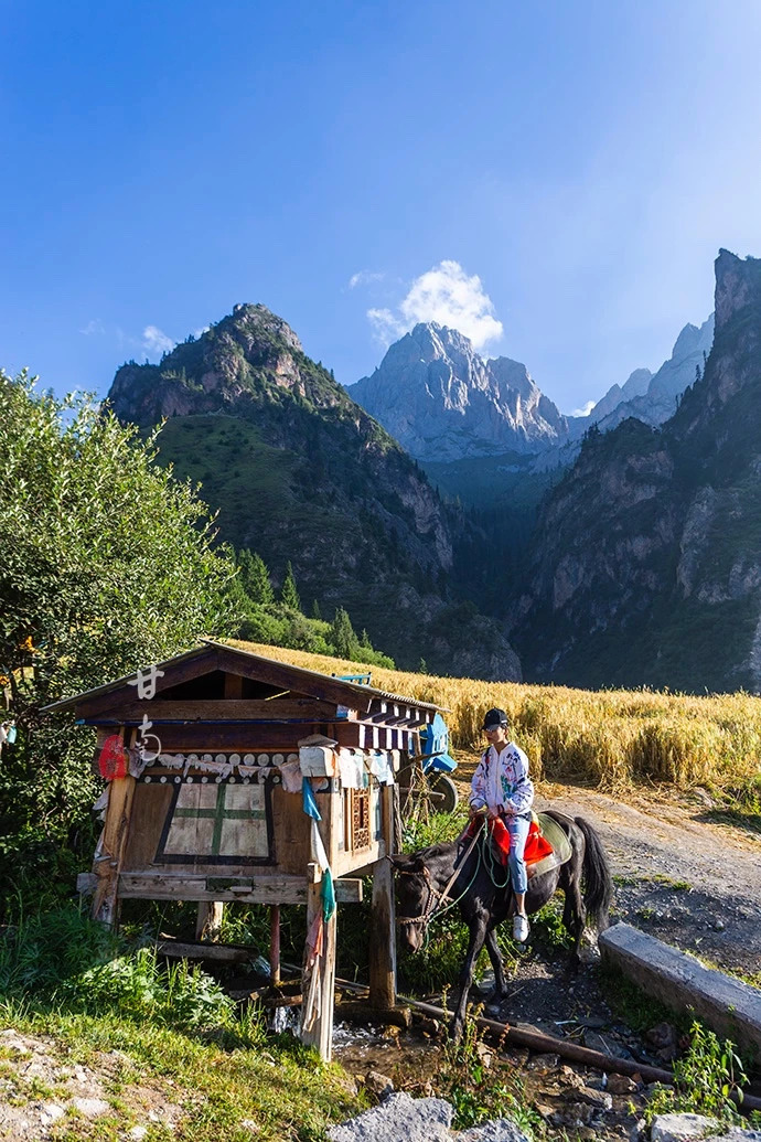 秀峰|扎尕那|取景地_新浪网