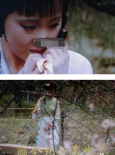 87版红楼梦的穿帮镜头播了21年才发现但依旧是神剧