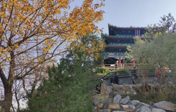 景山|景山公园|公园_新浪新闻