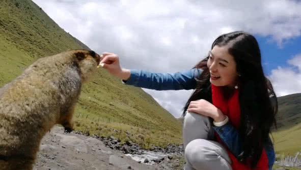 小姐姐想要和土拨鼠握手,它一脸迷惑:想把薯片要回去?