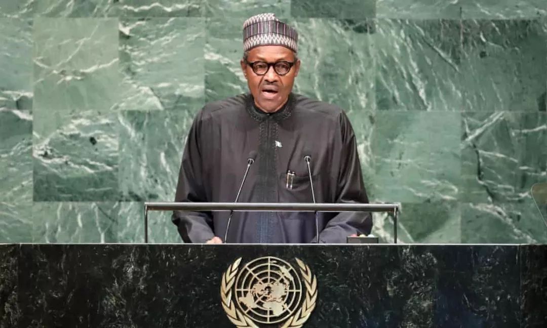 尼日利亚总统:"这是真实的我"