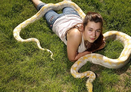 女子养宠物蟒蛇每晚缠她入睡,蟒蛇却突然绝食是怎么个想法?