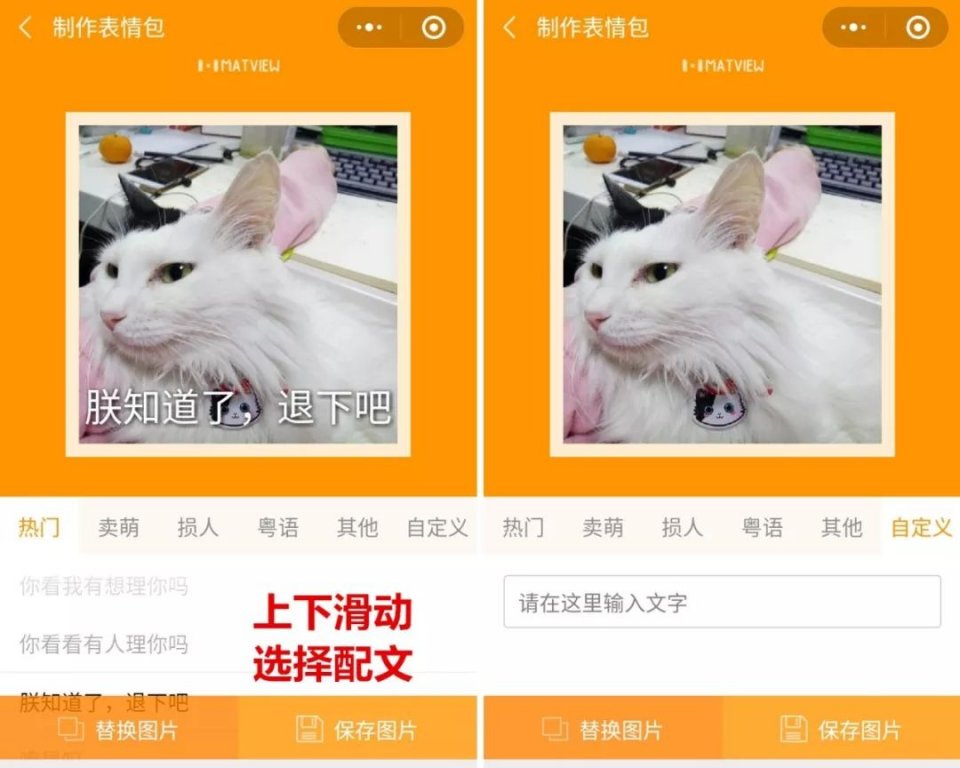 一键识别宠物还能顺手做个表情包?这是我玩过最瞎的小程序!