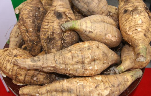 葛根的5个功效介绍,葛根粉这样冲泡效果好