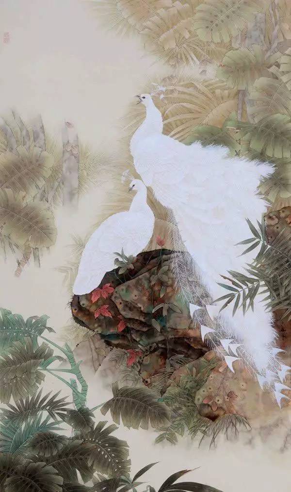 他笔下的白孔雀犹如穿着雪白婚纱的少女