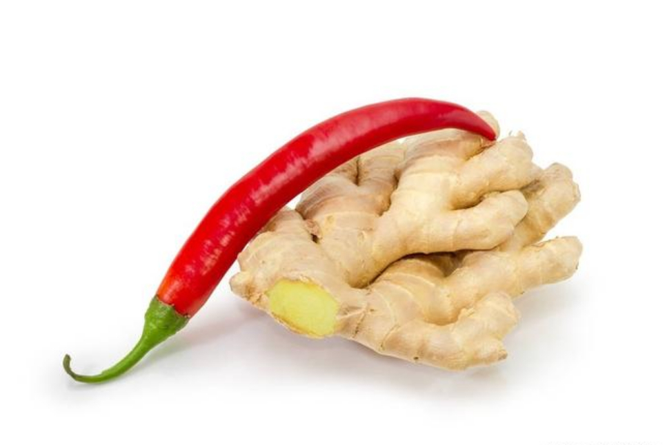 用生姜辣椒水给宠物鱼治病,这个想法,是不是有点奇葩呢?