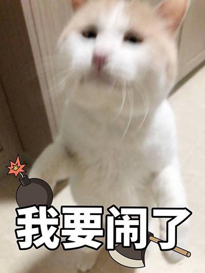 男朋友和女朋友吵架的表情包你这个无情无义又无理取闹的女人