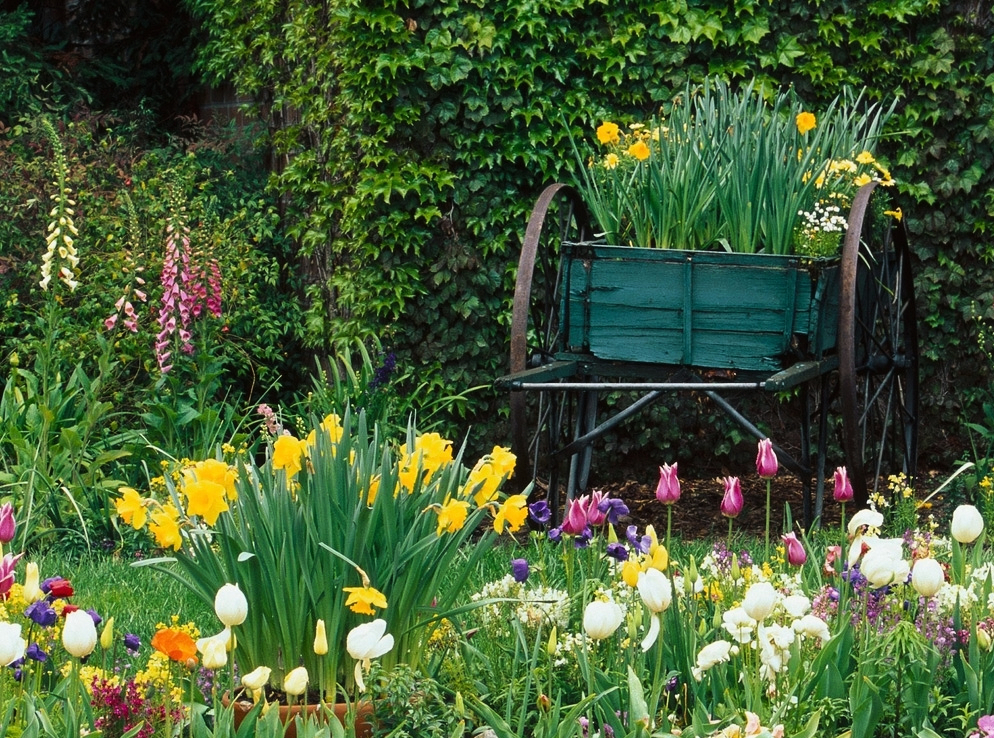 这几天出生的宝宝,男孩旺母女孩旺父,长大必定有出息,光宗耀祖