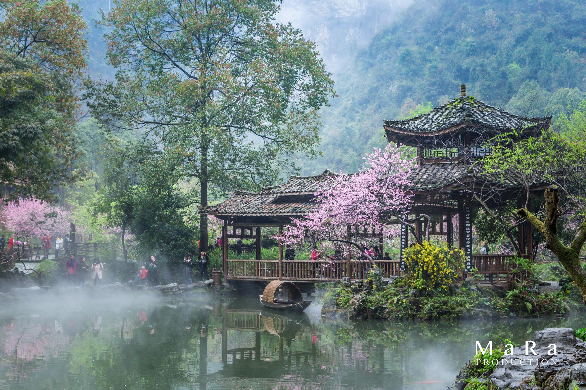 假装穿越到陶渊明笔下的桃花源这个深山里的景区是认真的