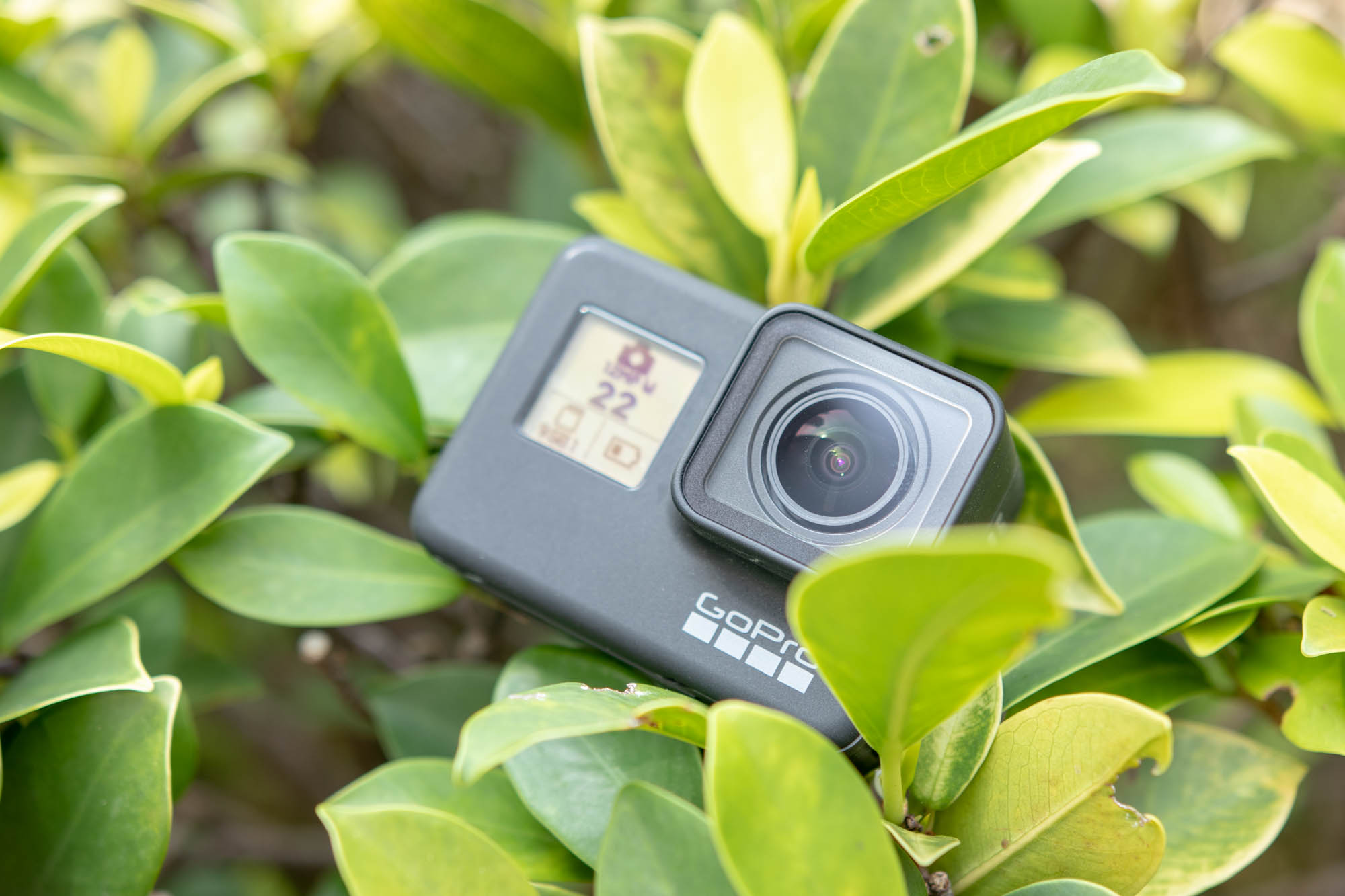 稳到变态goprohero7black首发评测