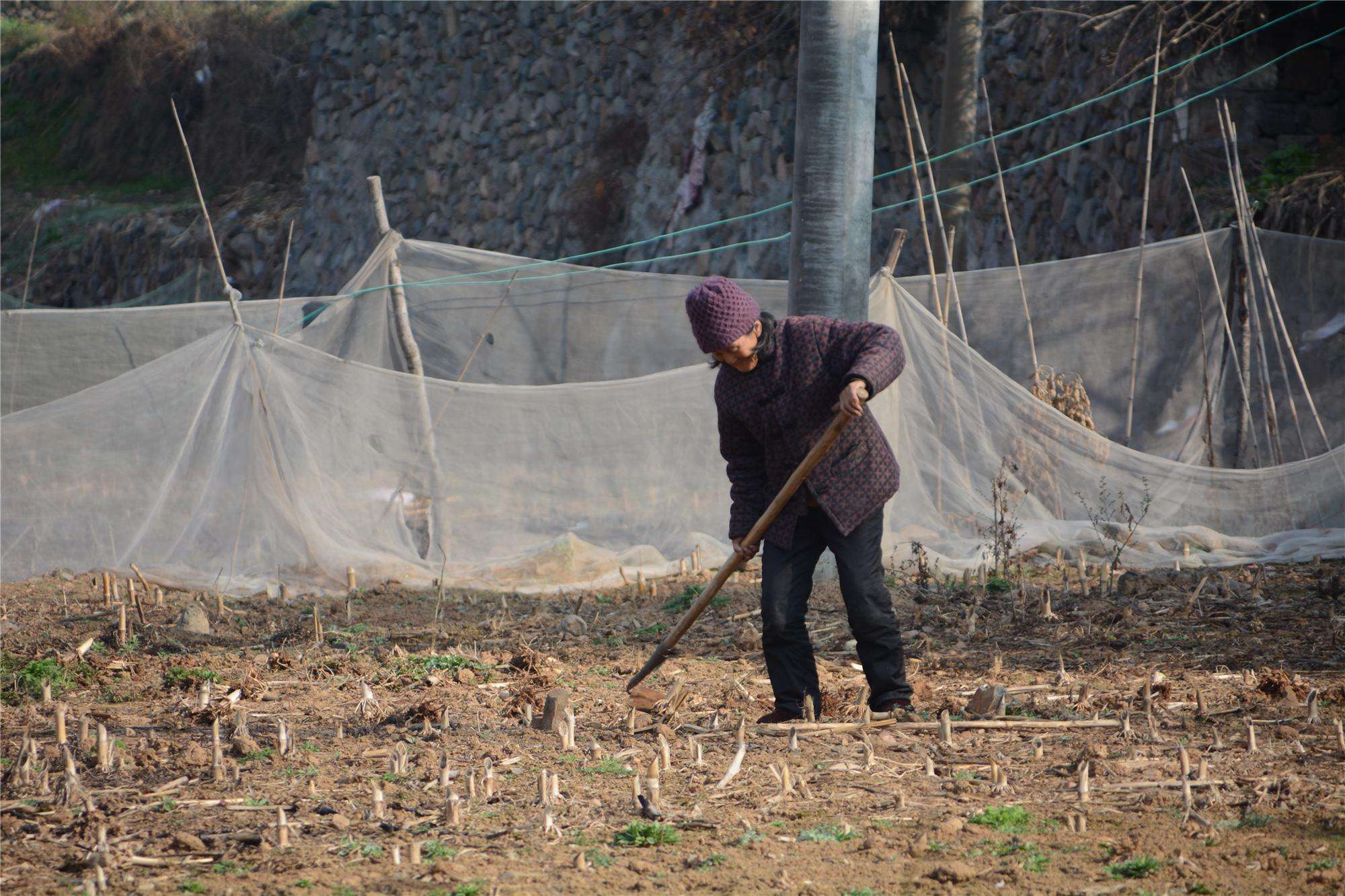现在农村里面的农民,日子过得怎么样?听老农怎么说