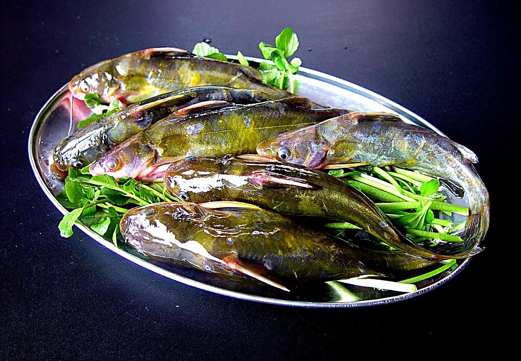 红烧鱼用什么鱼好吃红烧黄辣丁