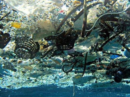 地球海洋生态环境遭到破坏看人类都干了啥