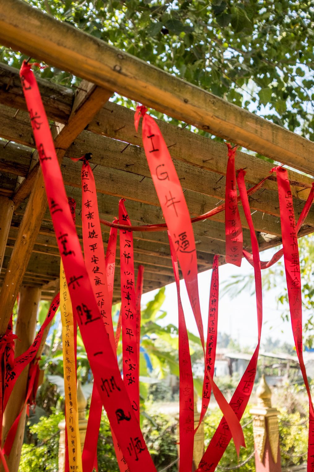 实拍景区里的许愿条,有的感动,有的哭笑不得,还有"ig牛逼"