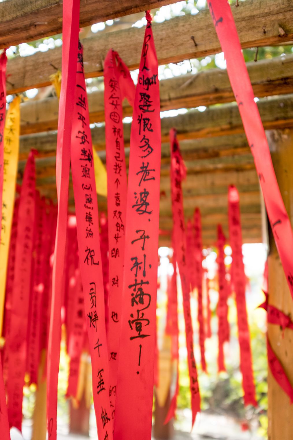 实拍景区里的许愿条,有的感动,有的哭笑不得,还有"ig牛逼"