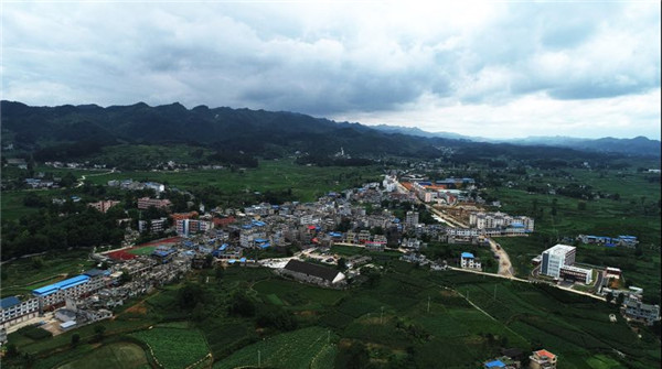 遵义西坪镇:丰收节里庆丰收 核桃为媒品文化