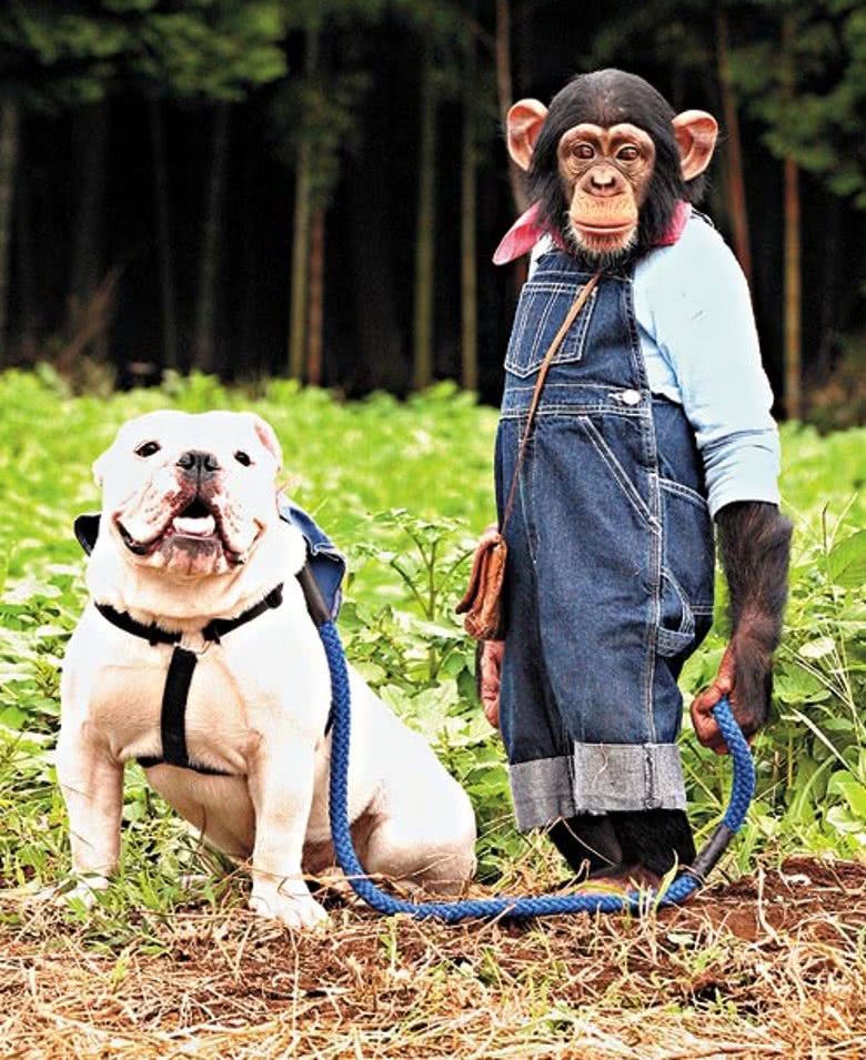 《阿笨与阿占》68岁男主持人近照面色晦暗 因喝酒导致肝硬化