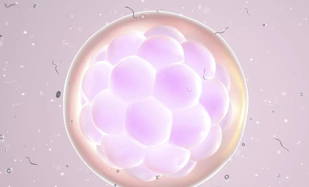 移植胚胎时导管方向"试管婴儿"的成功率"试管婴儿"的成功率是准备接受