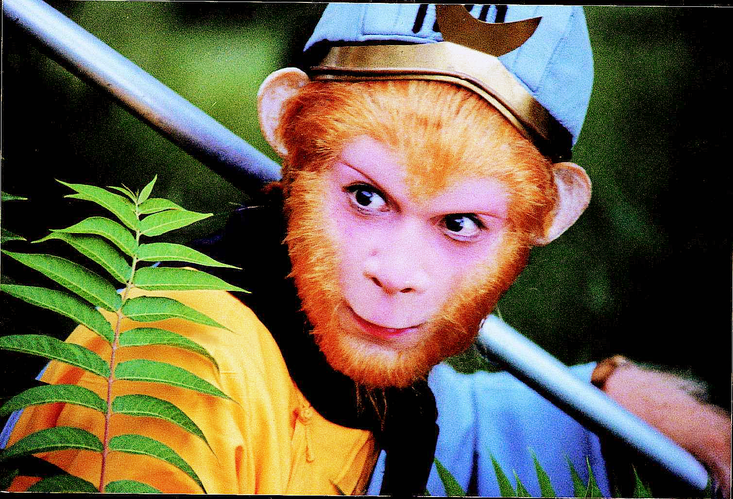 矮子里面拔将军,张卫健跟陈浩民演的孙悟空,谁