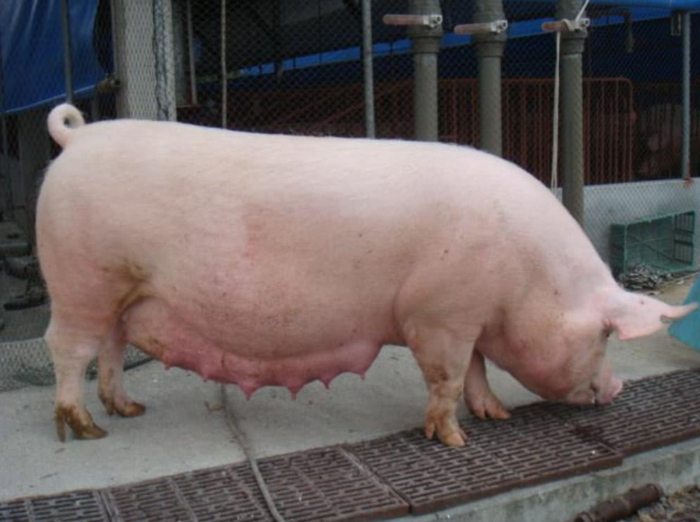 原因只有三个字