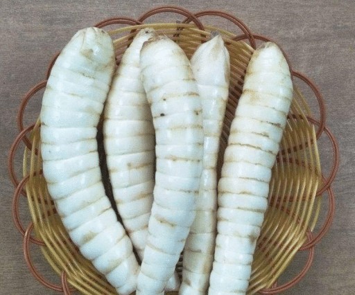 老奶奶在路边卖虫子2元1个被嫌太贵内行大叔不识货