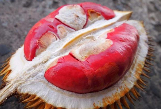 那些"颠覆三观"水果,全都见过就很幸运,吃过就更厉害了!