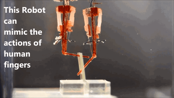 如今登上science robotics最新一期封面.这足以证明其分量.
