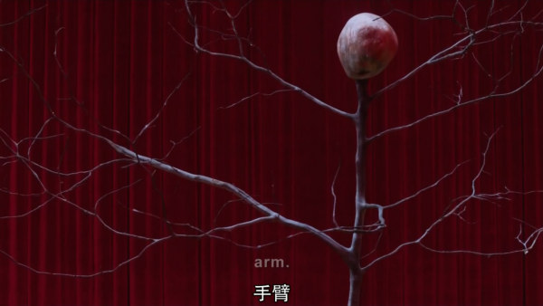 如何评价电视剧《双峰（Twin Peaks）》第三季（2017）?