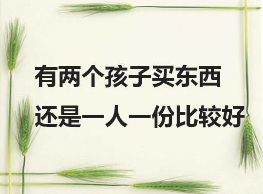 家有两宝,为了公平就要每样东西买两份?网友:买东西都是一份