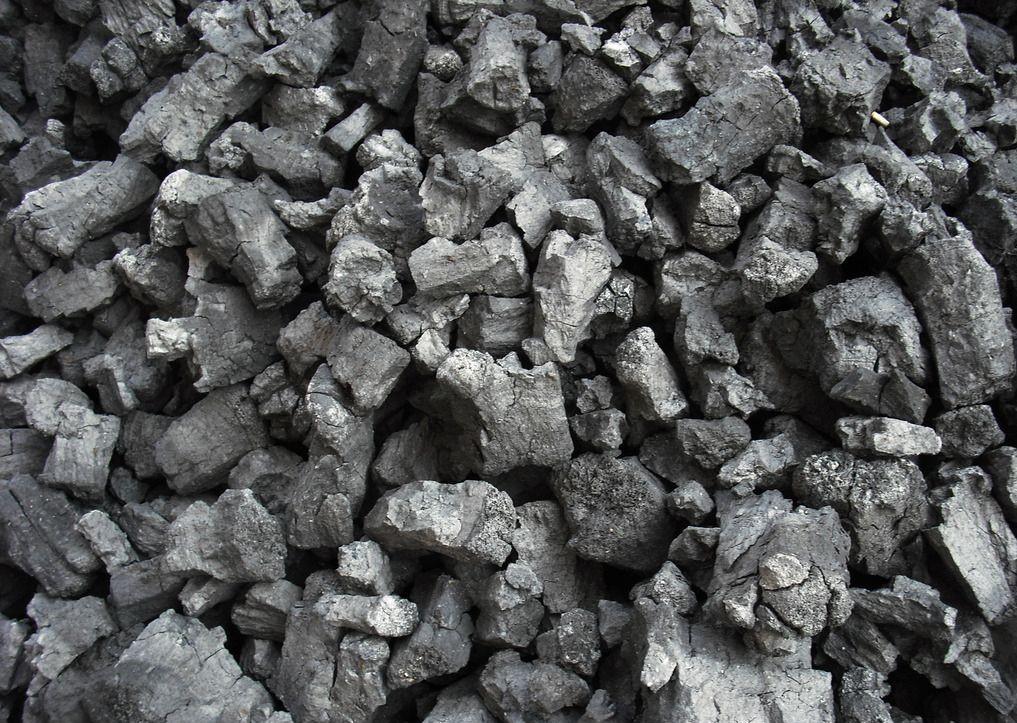 农村|煤渣|养花_新浪新闻