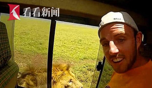 我能笑一年!我已忘记狮子的正确叫法… 搞笑视