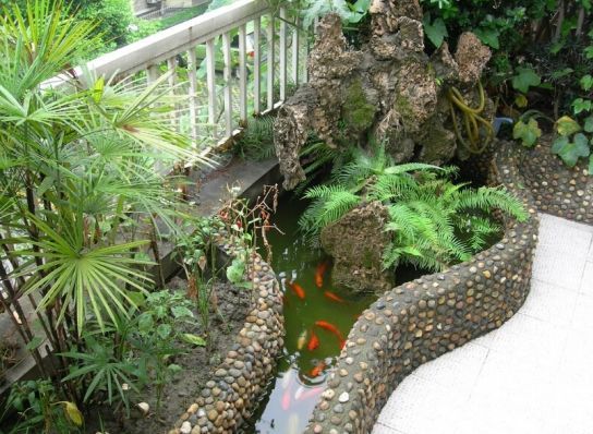 在阳台上建鱼池,引来邻居天天闹!