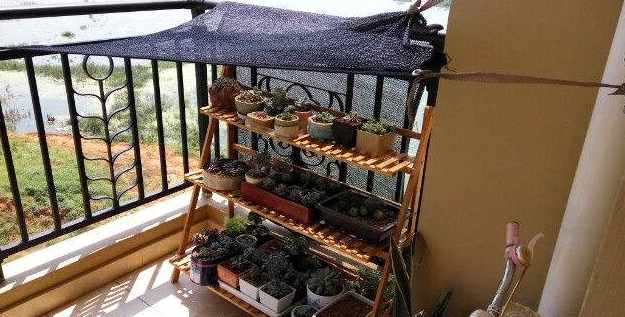 遮阳网怎么搭建遮阳效果好呢