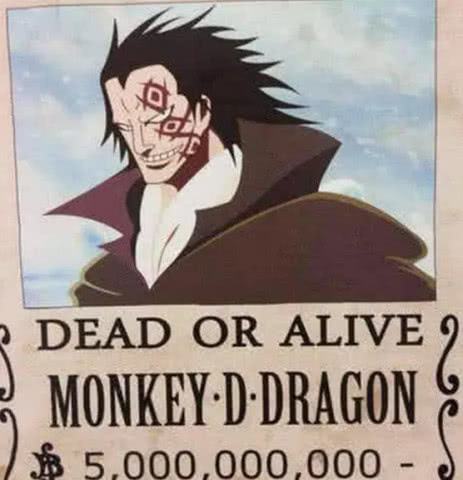 海贼王为什么说龙的悬赏金会是世界最高的呢