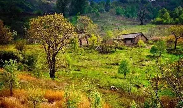秦岭大寺村:西安驴友眼中香格里拉!