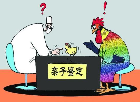 双胞胎却长得不一样宝爸怀疑不是亲生,亲子鉴定结果出来后尴尬