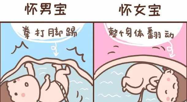 胎儿的位置也有所区别,男孩相对于女孩来说胎位要相对于靠上一些,这些
