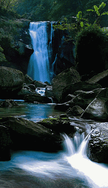 346_600竖版 竖屏gif 动态图 动图