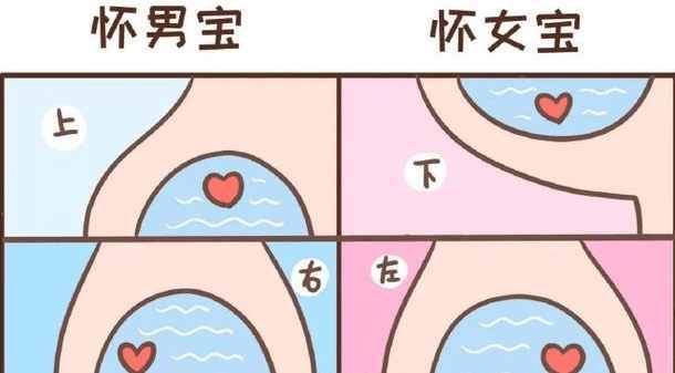 饭量当然也有所不同,显然怀男宝的孕妈会显得更能吃一点,吃嘛嘛香.