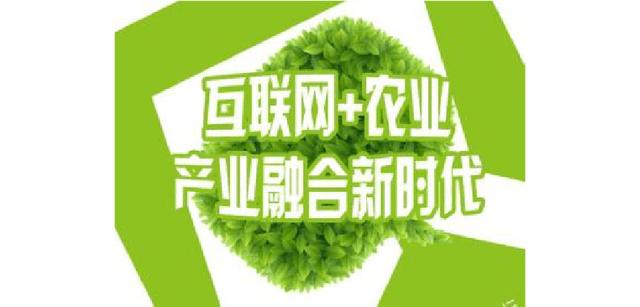 聚焦三农中央一号文件让三农信心更稳