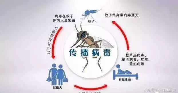 营口:关于开展流行性乙型脑炎防控工作的通知!__财经头条