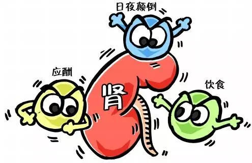 中青年人要防肾病综合征偷袭