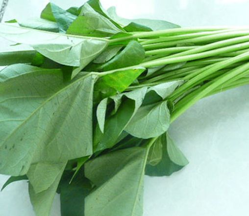 农村有种特殊的野菜,城里人花钱都买不到,农村里不要钱随便吃!