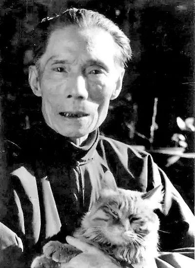 我国著名文学家夏衍先生, 在"文革"前养了一只黄猫, 后来夏老先生因为