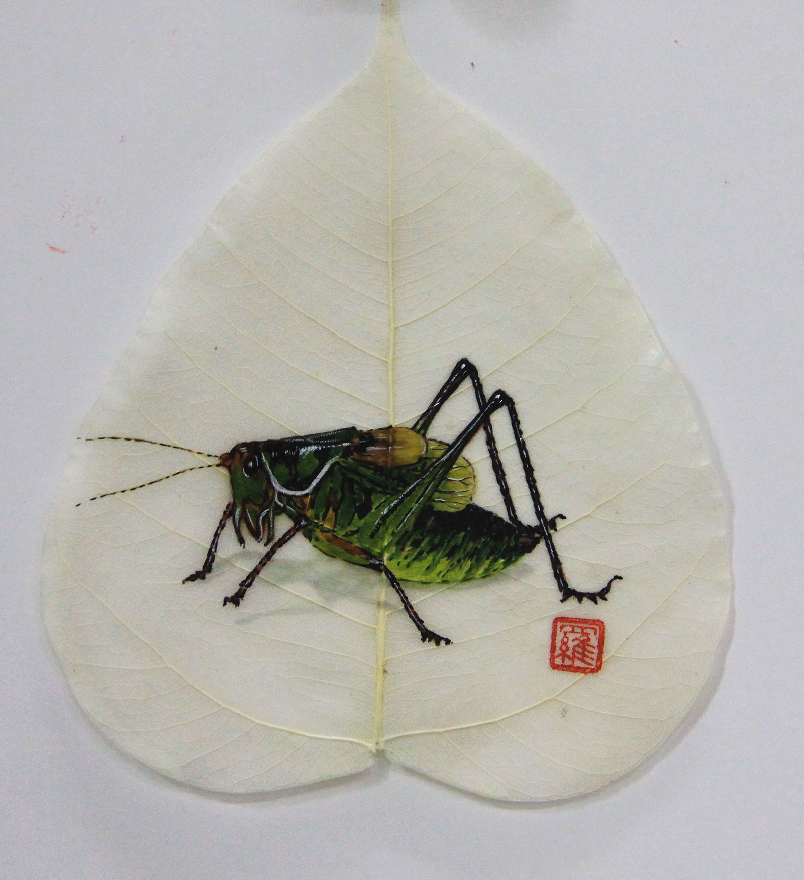 菩提叶画的前世今生 画家罗小琴配图