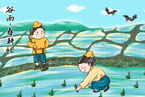 今日谷雨:杨花落尽子规啼,要和春天说再见了