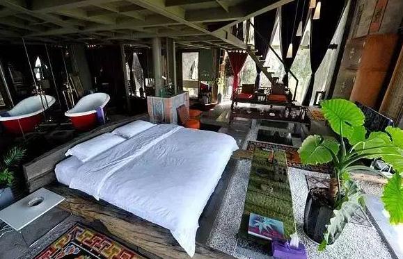 杨丽萍月亮宫被拆鲁豫说我只是有点背