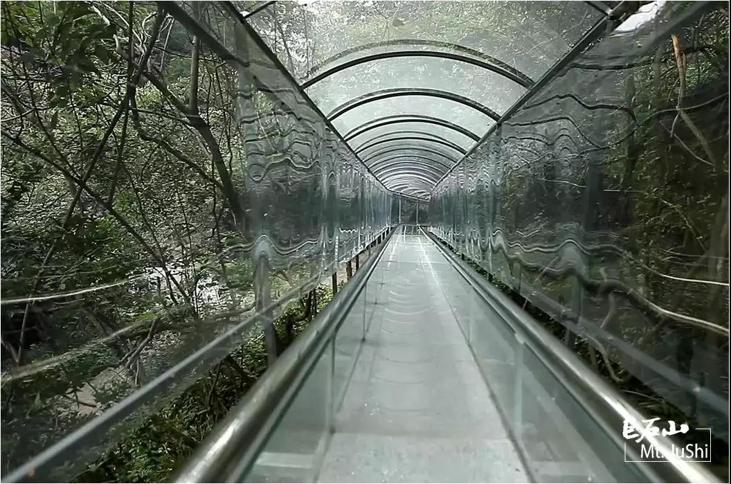 心跳指数100巨石山云上玻璃滑道比过山车还刺激