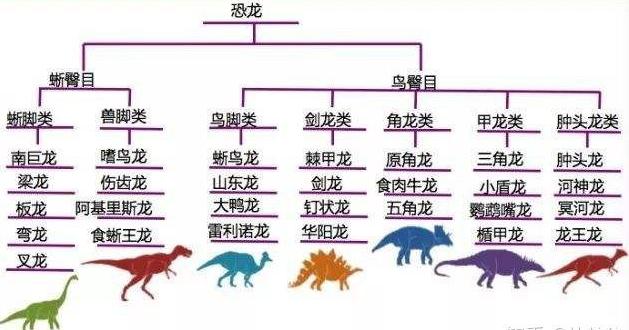 如把地球到现在历史比作24小时那么人类存在时间不过3秒钟
