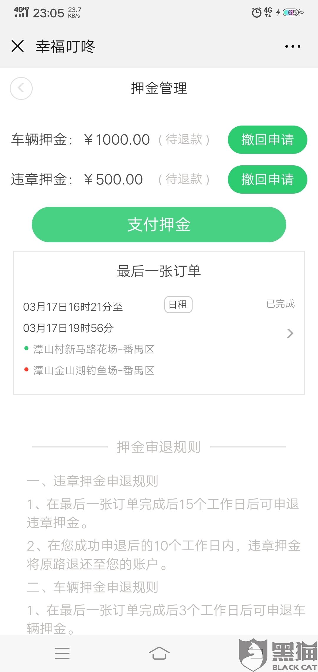 城市间的纽带:最新机场接送服务动态